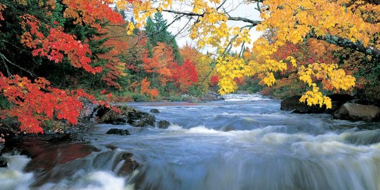 البيئة في القرآن الكريم