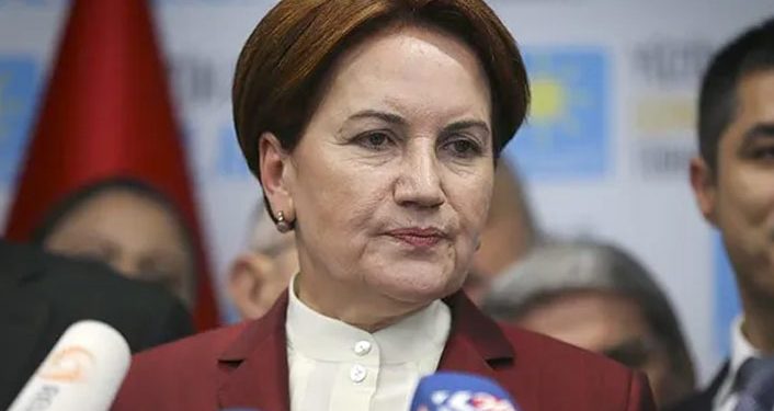 أكشنار تلجأ إلى مجلس الدولة لإلغاء قرار أردوغان