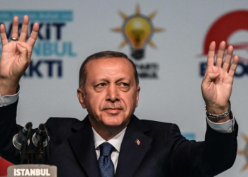 كيف نقرأ مناورة أردوغان تجاه مصر؟