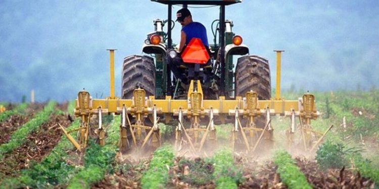 تركيا… ديون المزارعين زادت 72 ضعفًا