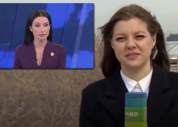 كلب “يخطف” الميكرفون من مراسلة أثناء البث المباشر