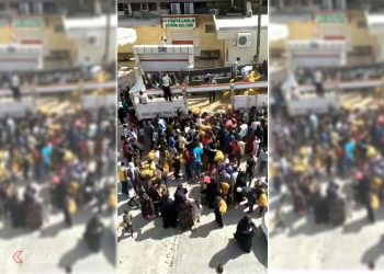 زحام شديد على البطاطس والبصل “المجاني” في شانلي أورفا