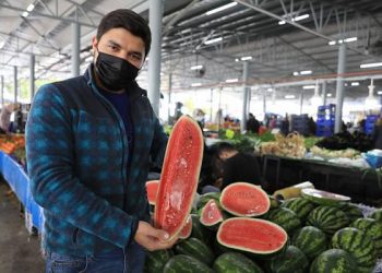 البطيخ في تركيا يباع بالشريحة!