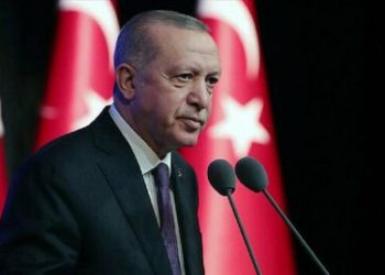 أردوغان يدعو أفغانستان إلى المشاركة في المبادرات التركية ضد إسرائيل