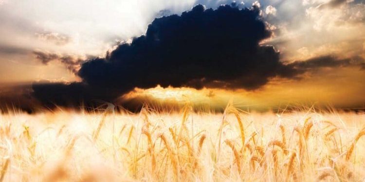 السنن الإلهية في المنظومة الكونية