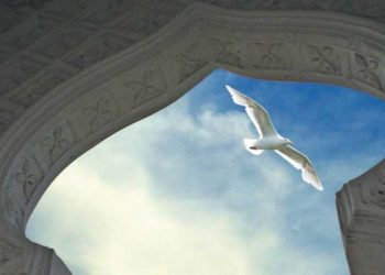 الروح وميلاد الحضارة