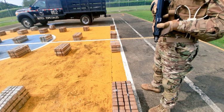 ضبط 616 طردُا من الكوكايين كانت في طريقها إلى تركيا