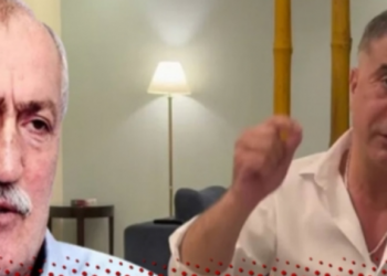 وزير سابق يفسر سبب غياب اسم أردوغان عن الفضائح التي ينشرها زعيم المافيا