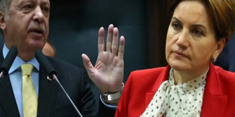 أردوغان يرفع دعوى قضائية ضد المرأة الحديدية بسبب إسرائيل