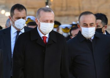 هل يخلف وزير الخارجية الرئيس أردوغان؟