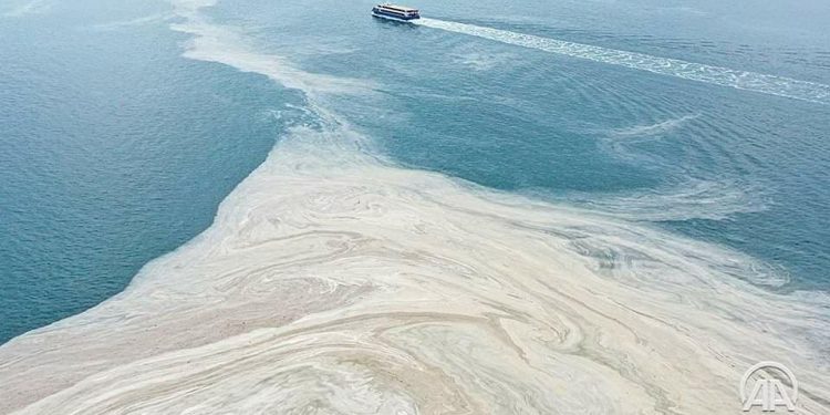 ظهور زبد البحر في بحر مرمرة في تركيا