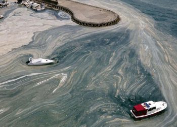 بحر مرمرة يحتضر بسبب سياسات حكومة أردوغان