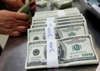 فيتش تتوقع أن يقترب الدولار من 9 ليرات تركية