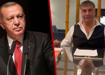 كاتب تركي: أردوغان أصدر تعليمات بخصوص اتهامات زعيم المافيا