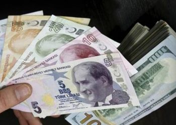 الدولار يسجل أعلى مستوى على الإطلاق في تركيا