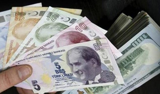 الدولار يسجل أعلى مستوى على الإطلاق في تركيا
