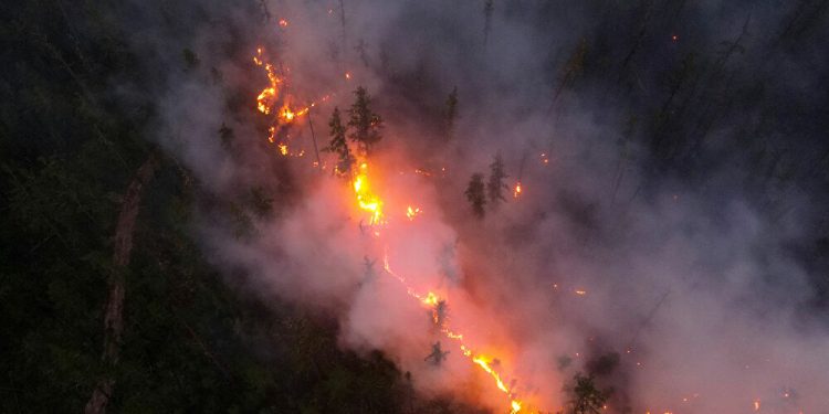 ارتفاع عدد ضحايا حرائق الغابات في تركيا إلى 4 أشخاص