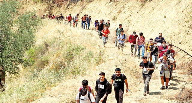 برلماني يحذر: ملايين اللاجئين الأفغان في الطريق إلى تركيا