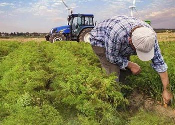 زيادة تكلفة الأسمدة بنسبة 45% في تركيا