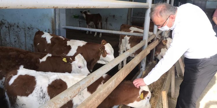 ارتفاع أسعار السماد والأعلاف 100% في تركيا