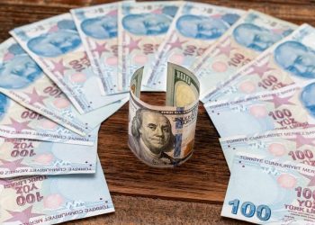 مؤشر بيج ماك: انخفاض الليرة التركية أمام الدولار بلغ 58.7٪