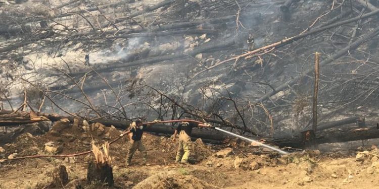 ارتفاع المساحات المحترقة في تركيا 8 أضعاف