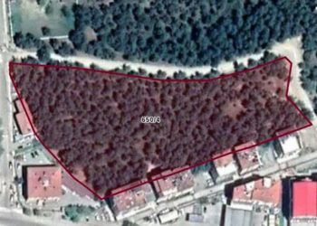 تركيا.. تدمير منطقة غابات مساحتها 13 فدانًا