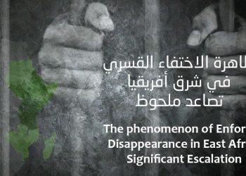 أبو الغيط يلتقي بوزير خارجية الجزائر