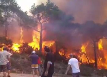 حريق غابات بجزيرة هايبليادا في تركيا