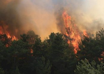 تركيا.. حرائق الغابات تصيب بودروم