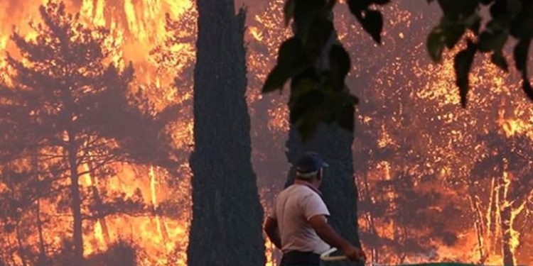 تركيا.. 5 حرائق مستمرة في غابات موغلا