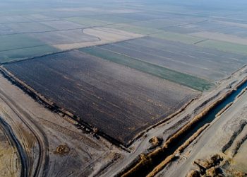 تركيا.. خسارة مليون طن من محصول الحبوب في سهل قونية