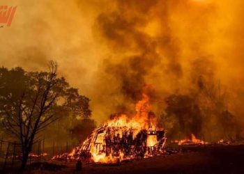 حرائق كاليفورنيا.. 2000 شخص يفرون من منازلهم