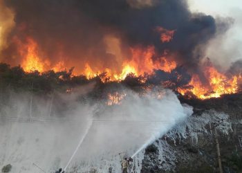 تركيا.. حرائق الغابات تتواصل لليوم الثامن في 6 ولايات