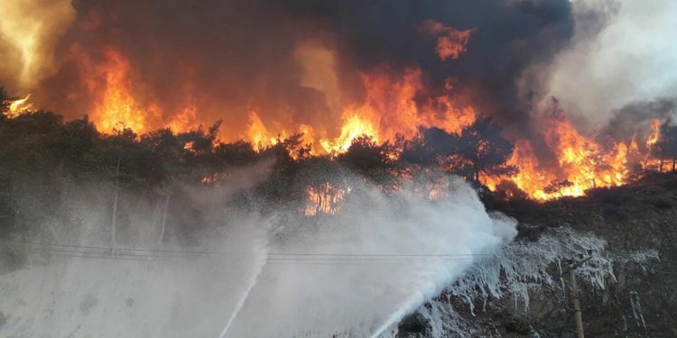 تركيا.. حرائق الغابات تتواصل لليوم الثامن في 6 ولايات