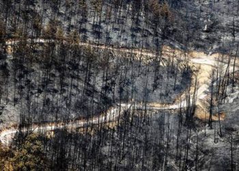 تركيا.. موغلا تفقد 65 ألف هكتار من الغابات ودمار بالحياة البرية