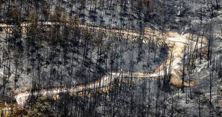 تركيا.. موغلا تفقد 65 ألف هكتار من الغابات ودمار بالحياة البرية