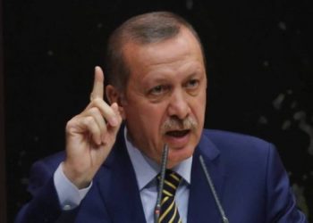 تقرير: 40 ألف دعوى قضائية بتهمة إهانة أردوغان!