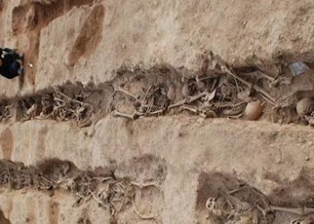 52 ألف جثة لمجهولين في المكسيك