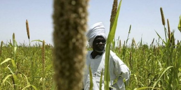 السودان يمنح تركيا حق تشغيل 100 ألف هكتار من أراضيه الزراعية
