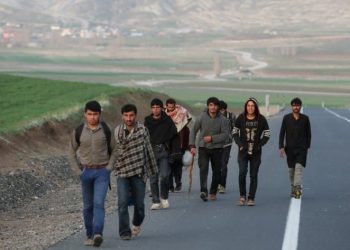 استطلاع رأي: 67% من الأتراك يرفضون استقبال المهاجرين