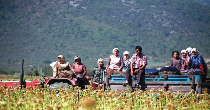 ارتفاع قياسي بتكلفة المنتجات الزراعية في تركيا