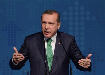 تهمة “إهانة الرئيس” تلاحق معارضة تركية رغم نفي أردوغان!