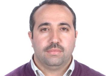 حبـات الأرز