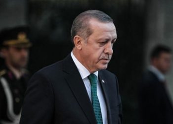 صحفي يكشف عن رئيس تركيا القادم إذا لم يترشح أردوغان