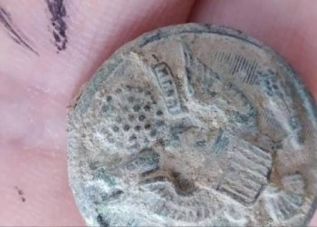 حفرية في تركيا تحمل الرمز التأسيسي لأمريكا!