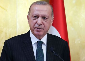 صحفي ألماني: أردوغان يفقد نفسه تمامًا!