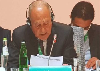 أبو الغيط: إخراج “المرتزقة” أبرز التحديات في ليبيا 