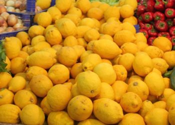 روسيا تعيد صادرات شركة زراعية تركية