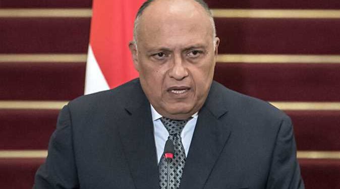 مصر تنتقد تدخلات تركيا في الدول العربية واحتضان الإخوان